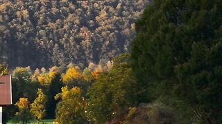 A little taste of autumn in Upper Austria 🍂