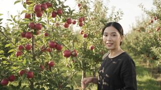 Fresh Apple