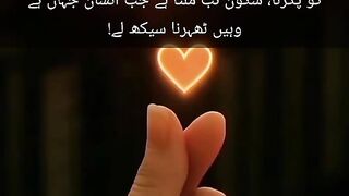 Febspot video 16