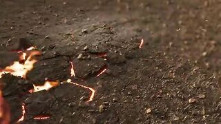 Roadies Rebirth Episode 2
