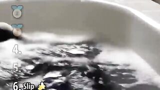 Funniest cats slipping in water core moments ranking video