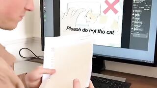 Top 5 reasons to get orange cat resting on pink table with copy space