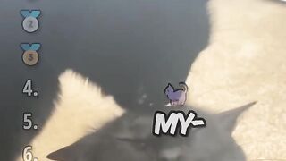 Cats letting intrusive thoughts win ranking humorous cat meme video with text overlay