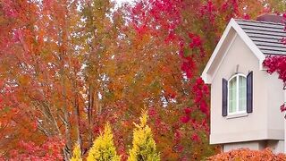 Autumn Love🧡🍁🍂 Lovely Neighborhood🧡🐿️🍂🥮☕️ . . . .