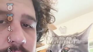 Talking cat core moments mama papa ranking best video funny pet interaction