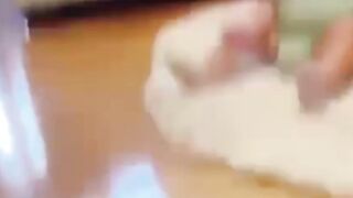 Funny Cat Video for Kids 😺🎉 _ Cute & Silly Cat Moments