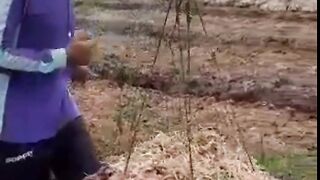 Kerja sambil bergoyang