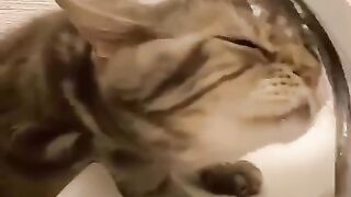 The weirdest way to drink water I've ever seen