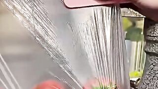 Humans at 100% Brain Capacity! 🤯 Unreal Skills You Won't Believe! 💥