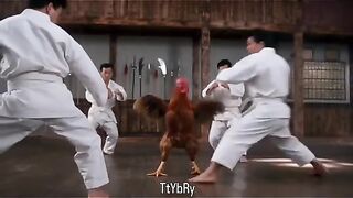 Enter the Rooster: The Ultimate Chickwondo Master!