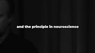 Despite Everything, Level Up - Success Is Earned, Not Given | NaveenTechTalks | n4ve4nx00