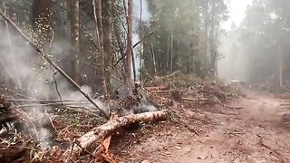 The Strategy Behind Peatland Firefighting in Indonesia