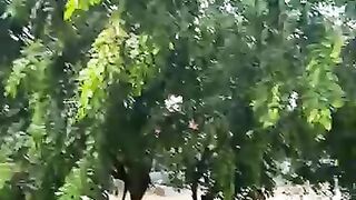Suasana Jakarta hari ini