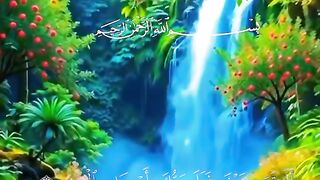 সূরা ফিল | হৃদয় ছুঁয়ে যাওয়া পবিত্র কুরআন তেলাওয়াত |