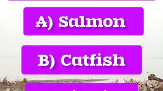 Best Fish for Heart Health in Older Adults? | Health Quiz Challenge