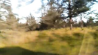 Small trip