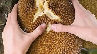 Miami mushy jackfruit👍