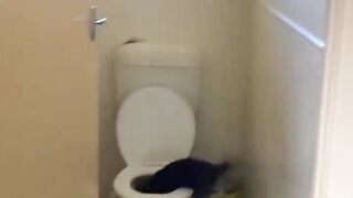 Instant Regret! Cats Failing So Hard It Hurts To Laugh 😹💀