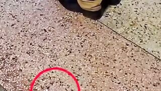 Stealing in church