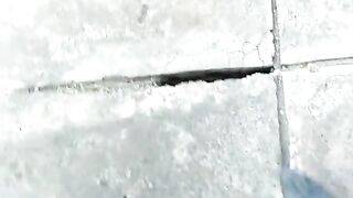 Just Walking