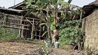Berkebun 10