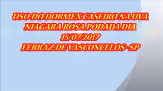 579 ) - USO DO DORMES APOS A PODA