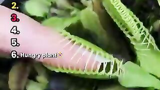 Wow 😮😳 2