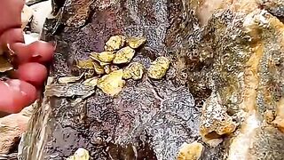 3 rocks that can easily be mistaken for gold