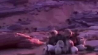A aventura da ovelha do rei resgate e amizade inesperada.