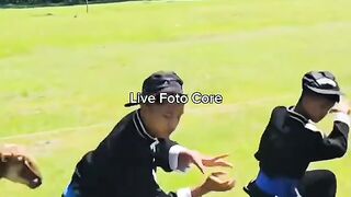 vidio lucu ke seruduk domba