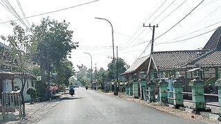 Road in the morning