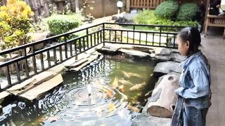 Ikan koi aquarium