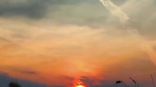 Look up...
