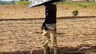 Petani modern