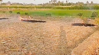 Proses persiapan lahan pertanian