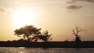Sunset 116
