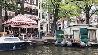 Cruisin' Susan • Travel Advisor