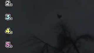 DO NOT CLICK THE SOUND!