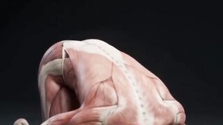 Sajdah
