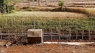 Indah nya suasana kampung