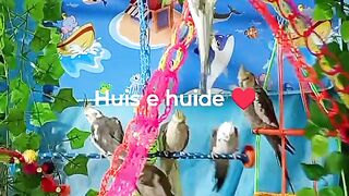 Huis e huide ♥️ 99