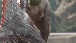 dinosaurs playing ball