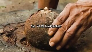 Hidup Sehat & Bahagia di Tengah Hutan