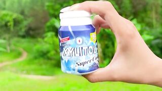 Survival Skills SMART idea and USEFUL in forest #bushcraft #camping 6