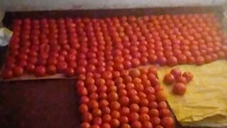 Quality fruit but very bitterness