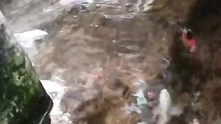 KOI FISH 2