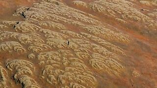How to Turn Laziness Into Resilience: Your Only Limit Is You | NaveenTechTalks | n4ve4nx00