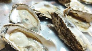 GOOD FOOD, DELICIOUS SEAFOOD, OYSTERS 2