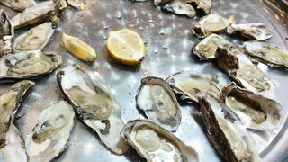 GOOD FOOD, DELICIOUS SEAFOOD, OYSTERS 3
