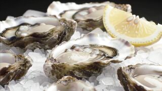 GOOD FOOD, DELICIOUS SEAFOOD, OYSTERS 7